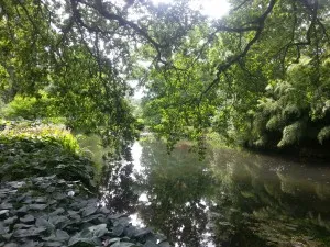 River View